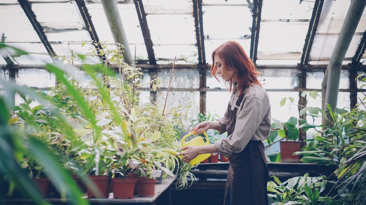 A woman tending to plants in a sunny greenhouse, promoting growth.